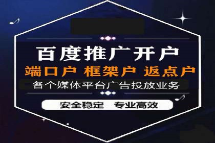 某电商平台的SEM广告投放全流程解析
